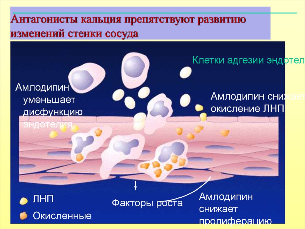 Реклама лекарственных препаратов презентация