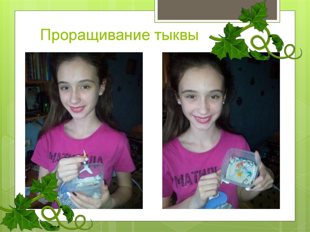 Проращивание тыквы