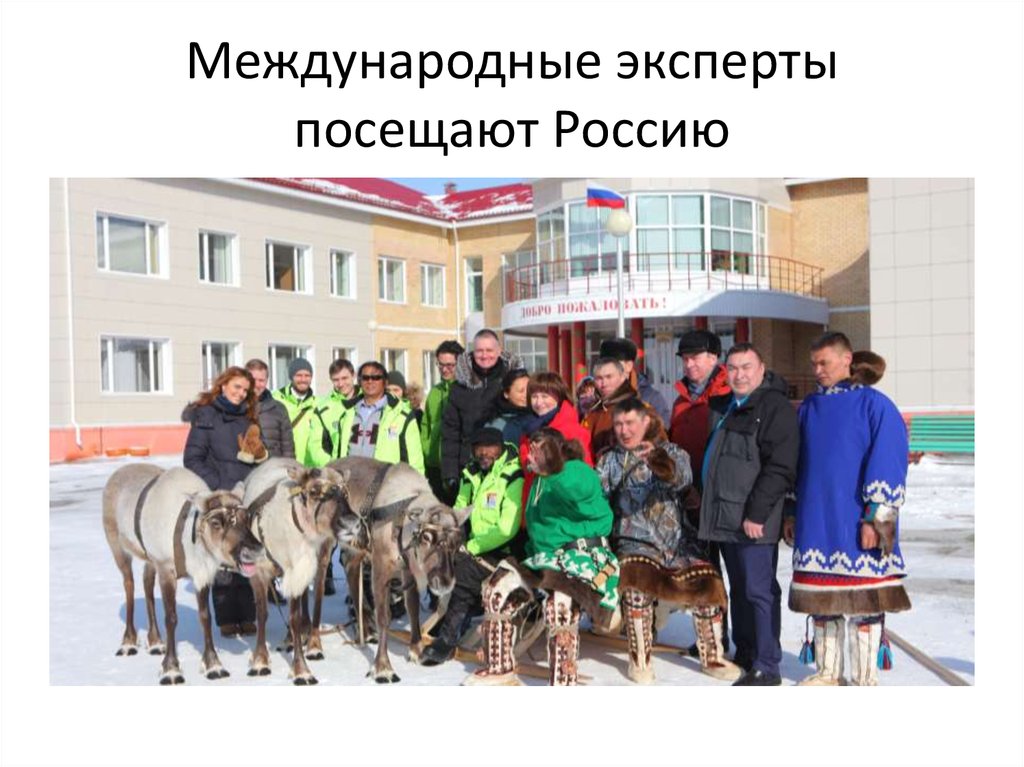 Международные эксперты посещают Россию