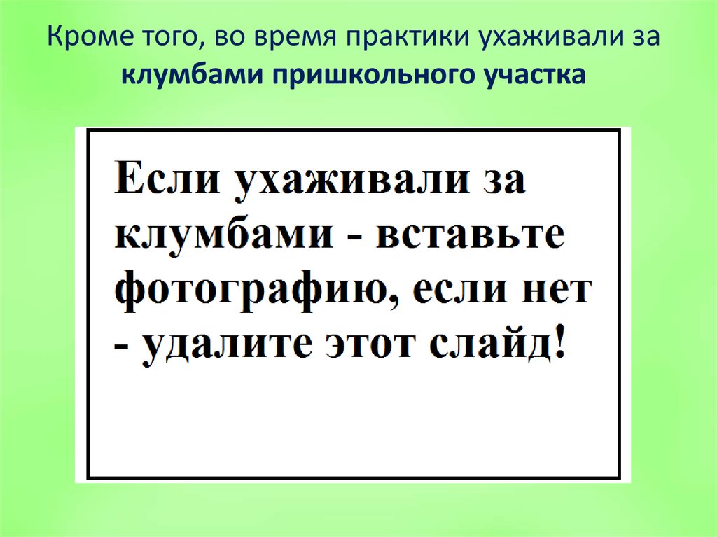 Кроме того, во время практики ухаживали за клумбами пришкольного участка
