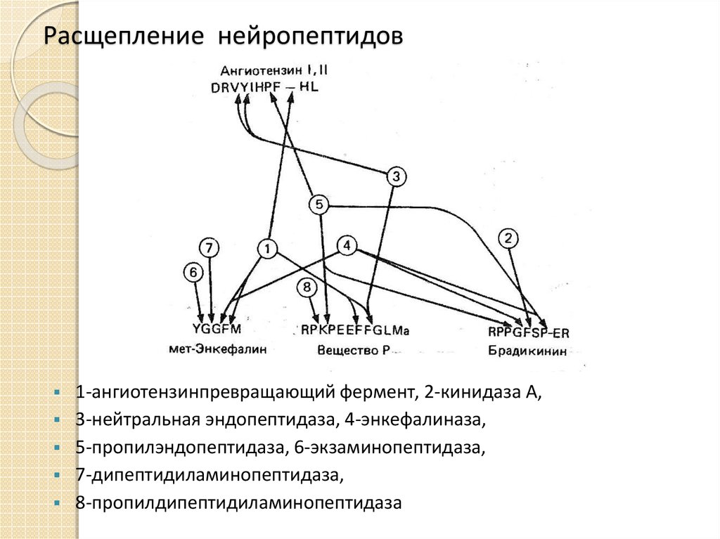 Регуляция поведения 8 класс презентация