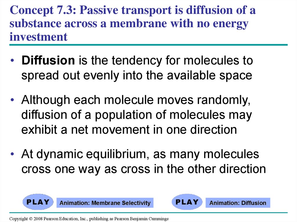 Concept 7.3: Passive transport is diffusion of a substance across a membrane with no energy investment