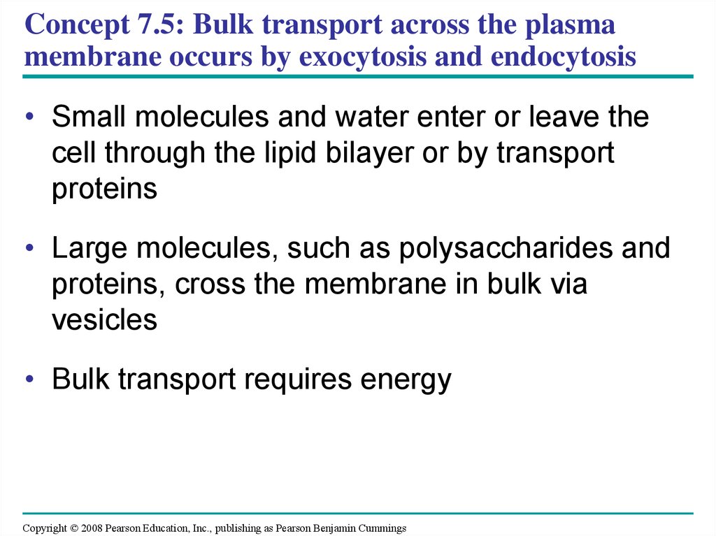 Concept 7.5: Bulk transport across the plasma membrane occurs by exocytosis and endocytosis