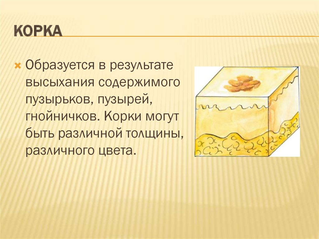 Почему на пироге образуется корочка