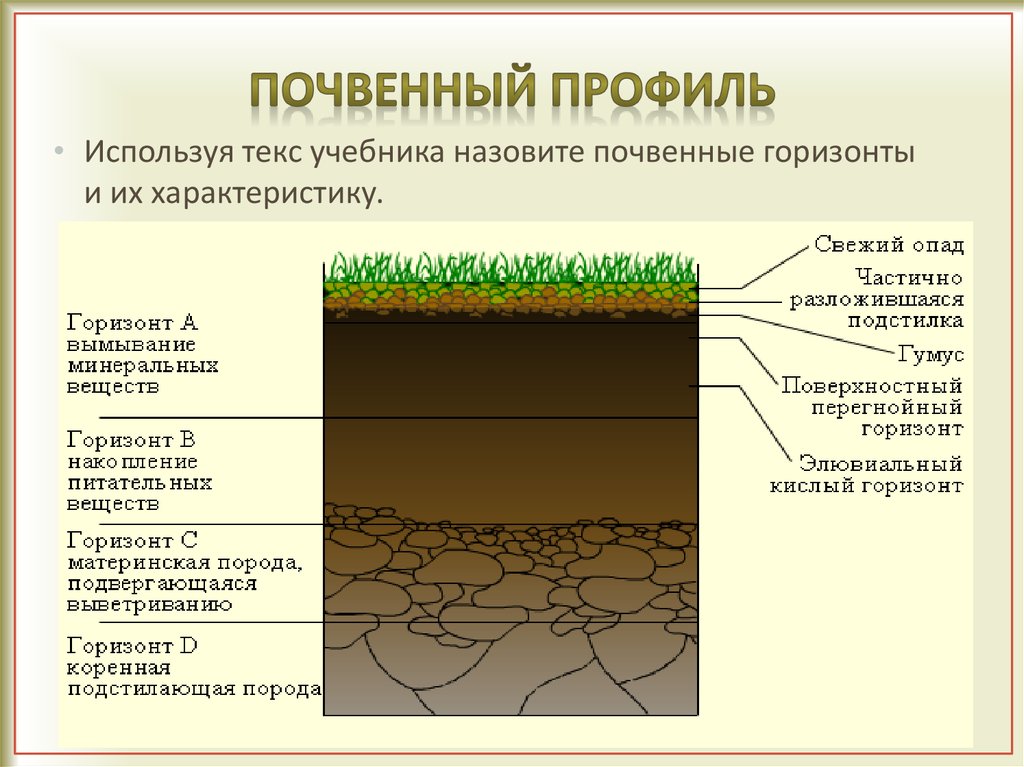 Плодородие д. Какого строение почвенного профиля. Почвенный Горизонт а1. Почвенный профиль и почвенные горизонты. Строение почвенного профиля почвенные горизонты.