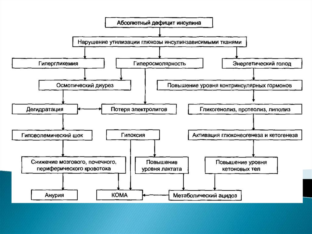 Диабетические комы виды причины основные проявления механизм развития презентация