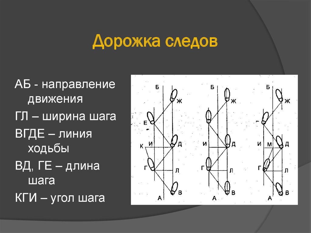 Схема следов ног