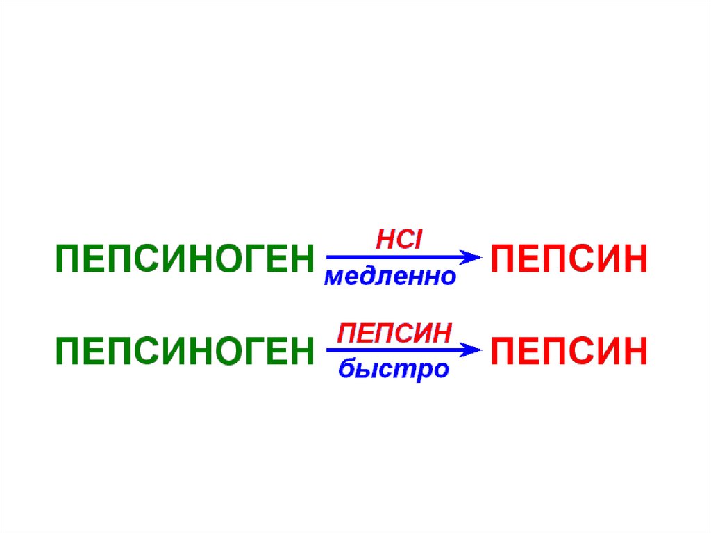 Пепсиноген. Пепсиногена в пепсин. Что такое пепсиноген 1 и пепсиноген 2. Превращение пепсиногена в пепсин.