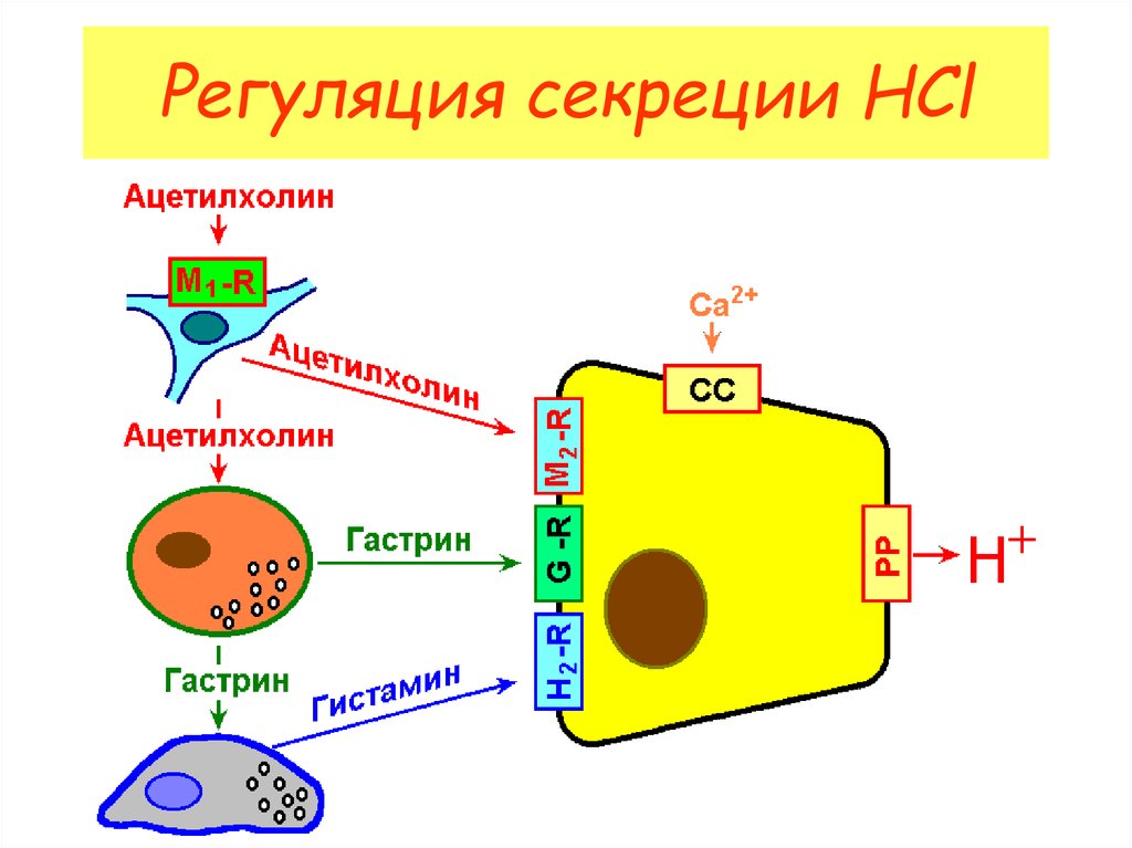 Схема образования соляной кислоты