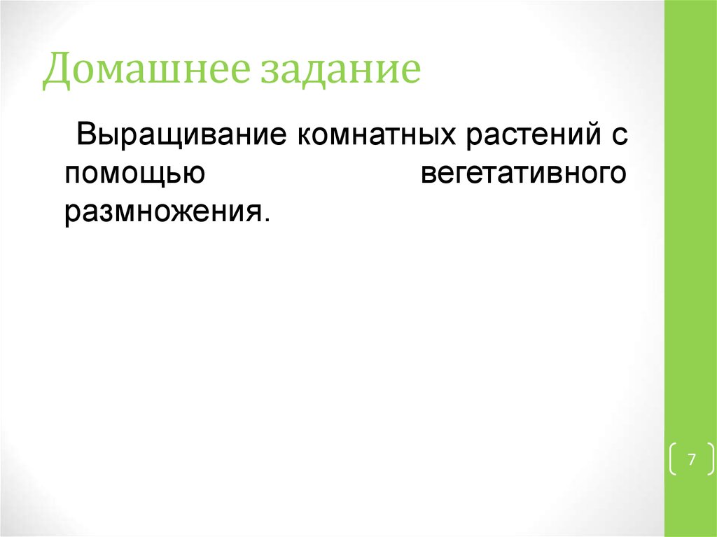 Домашнее задание