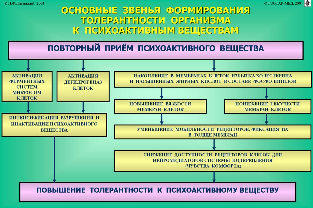 Язвенная болезнь желудка патофизиология презентация