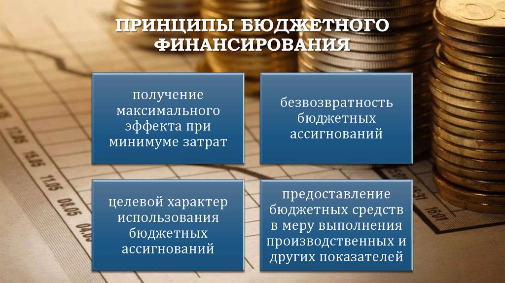 Подскажи бюджетные. Бюджетное финансирование. Принципы бюджетного финансирования. Бюджетное финансирование осуществляется на принципах. Характерные принципы организации бюджетного финансирования.