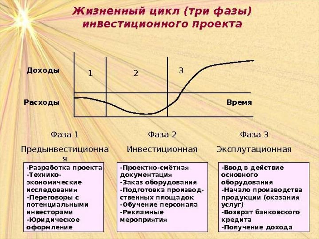 Краткая структурированная презентация проекта перед потенциальными инвесторами это