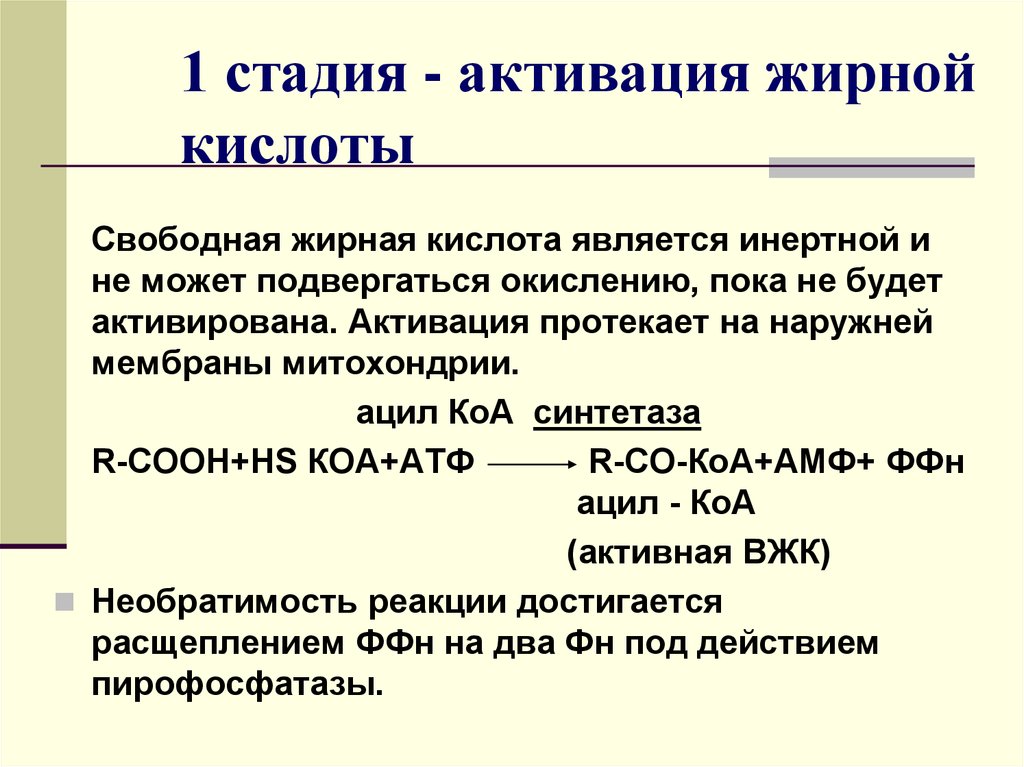 Что значит кислота. Активация жирных кислот. Реакция активации жирной кислоты. Активирование жирных кислот. Фаза активации жирной кислоты.