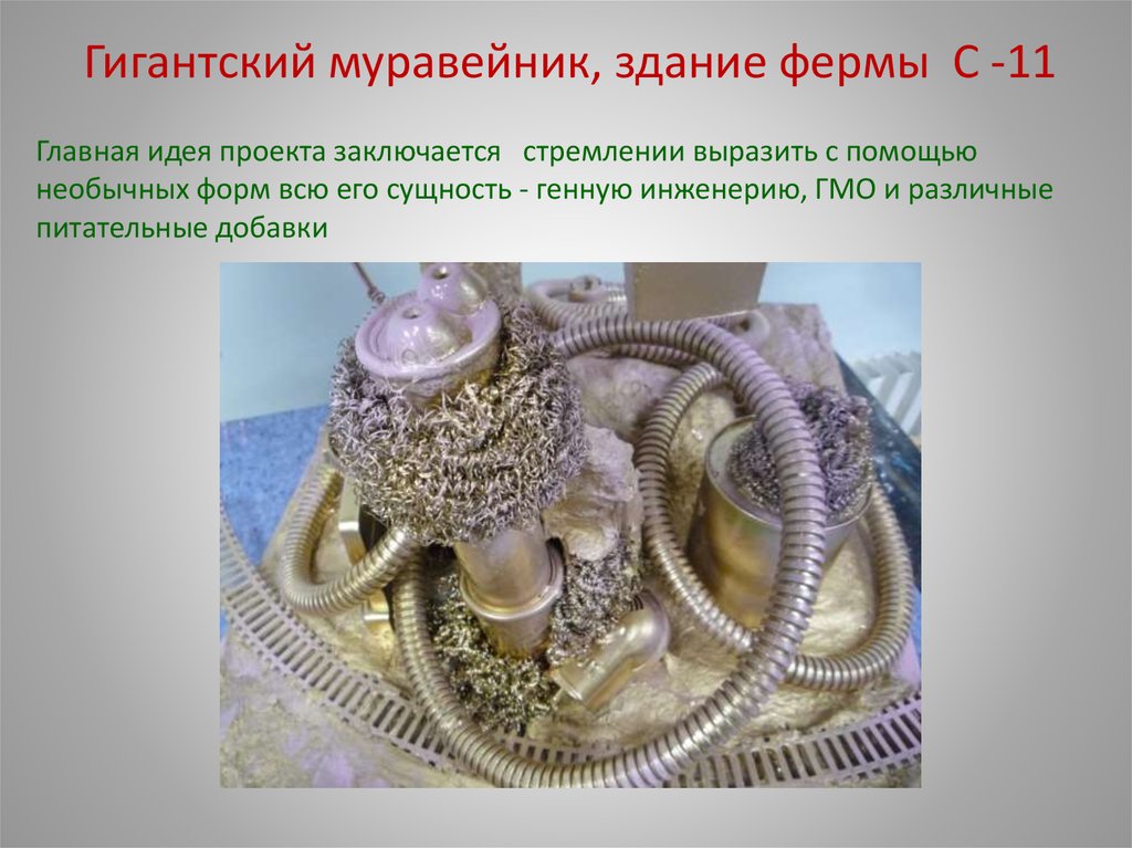 Особые гравитационные условия города станут отличным местом для проведения спортивных соревнований.