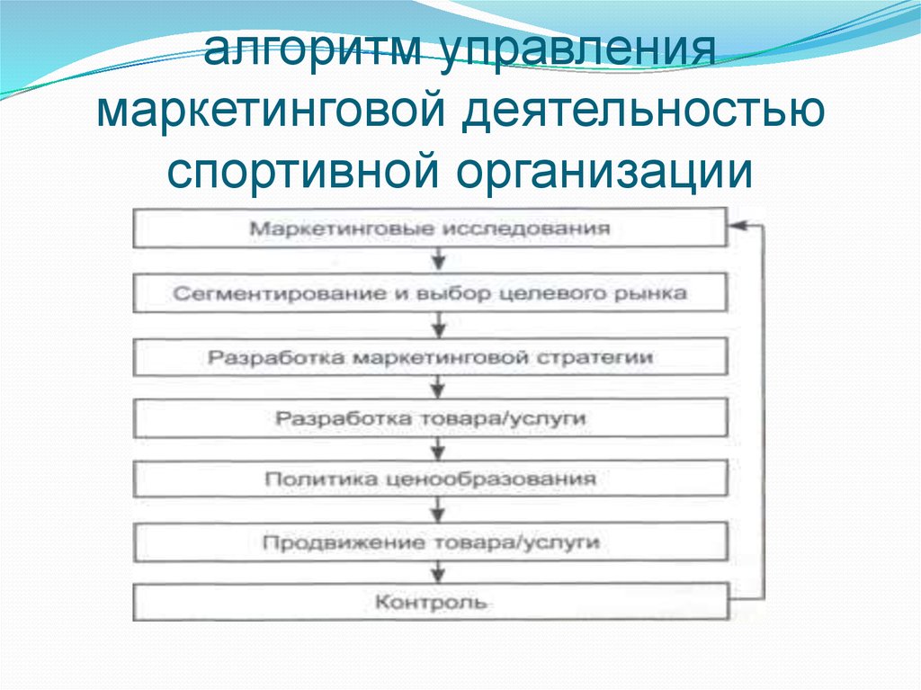 Алгоритм управление организацией. Алгоритм маркетинговой деятельности фирмы. Схема маркетингового управления организацией. Управление маркетинговой деятельностью. Управление маркетинговой деятельностью на предприятии.