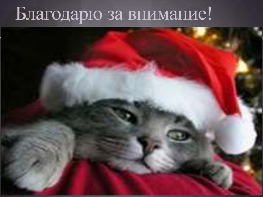 Благодарю за внимание!