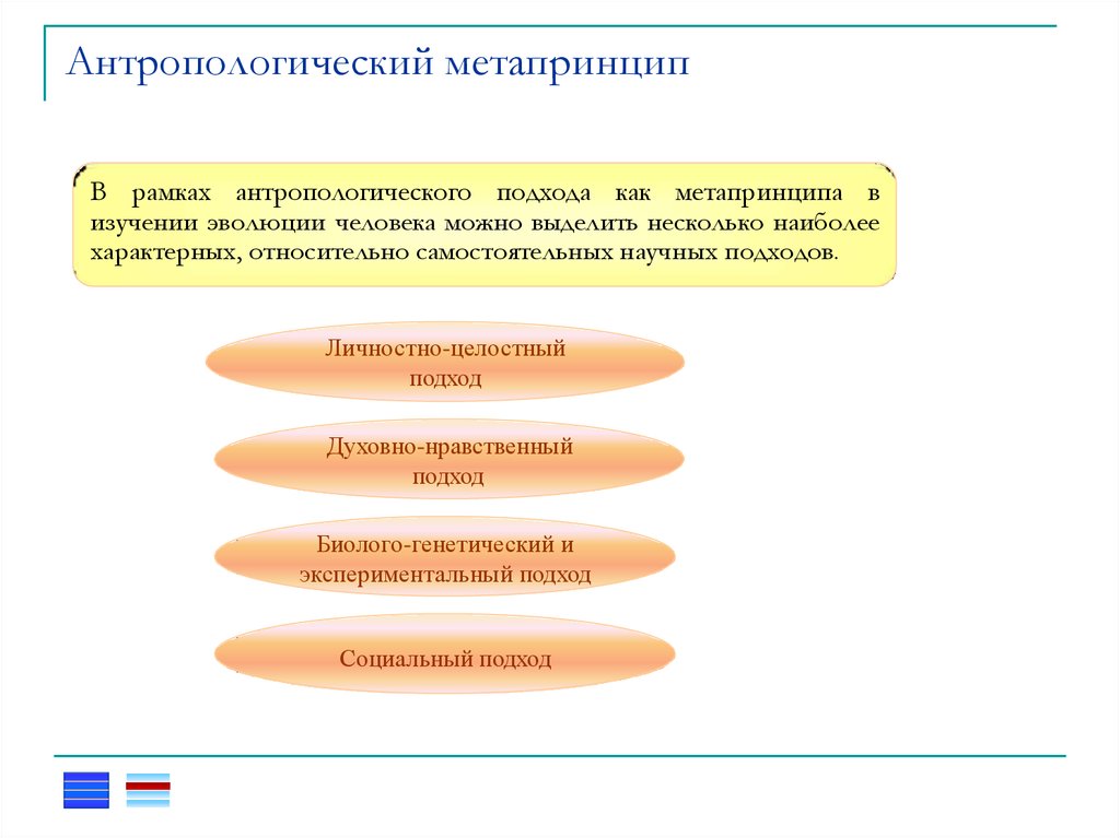 Антропологический подход. Антропологический метапринцип. Метапринципы развития высшего образования. Антропологический подход схема. Метапринципы в педагогике.