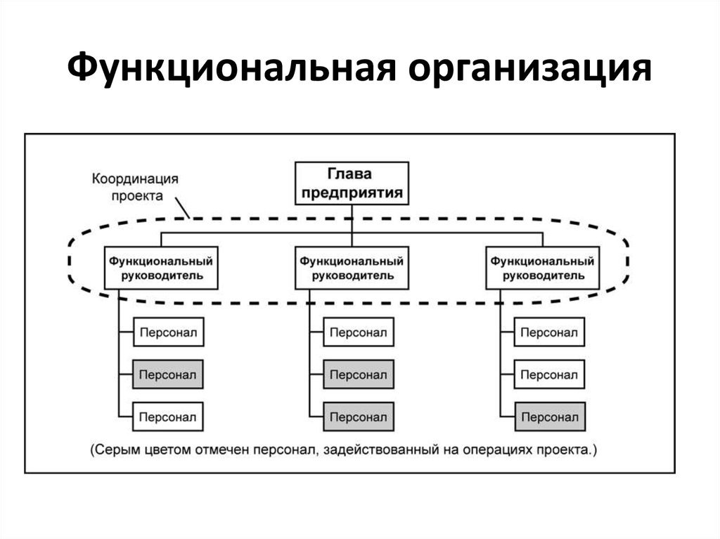 Функционирует проект. Функциональная и проектная структуры управления. PMBOK функциональная организация. Функциональная структура управления проектом. Структура проектной организации.