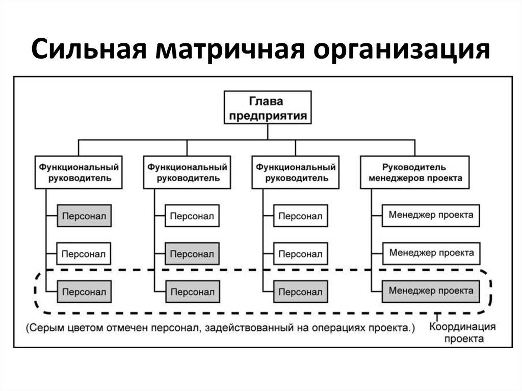 В сильной матричной структуре в проекты привлекается всех организационных ресурсов предприятия