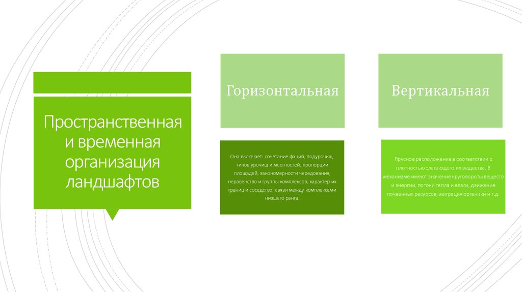 Временные организации. Пространственная и временная организация ландшафтов. Пространственно-временная организация. Вертикальные и горизонтальные связи в ландшафте. Горизонтальная фирма.