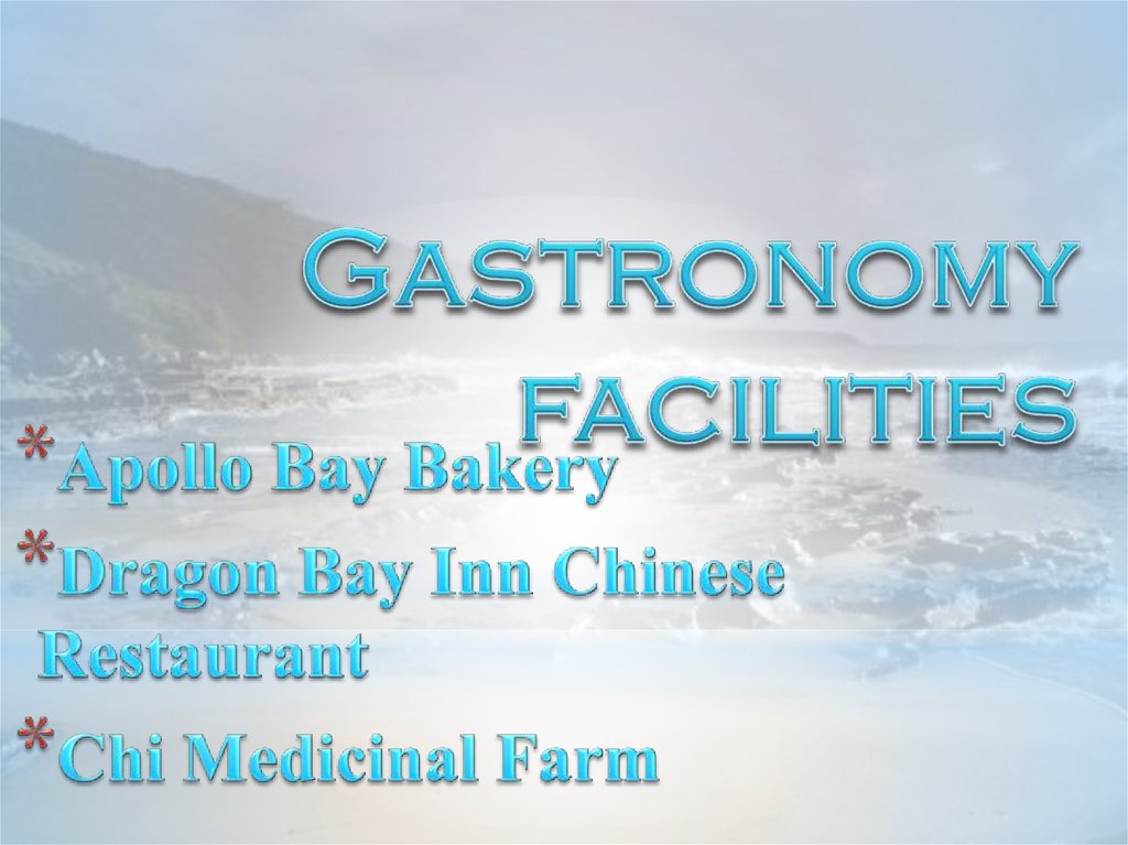 Gastronomy facilities