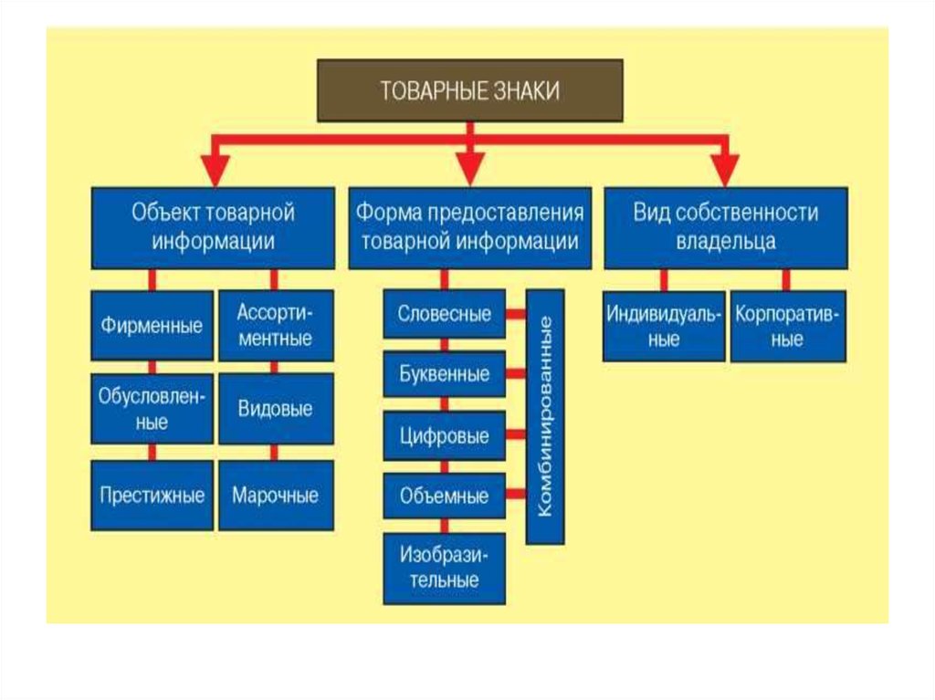 Средства товарной информации презентация