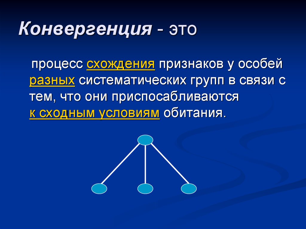 Конвергентное образование презентация