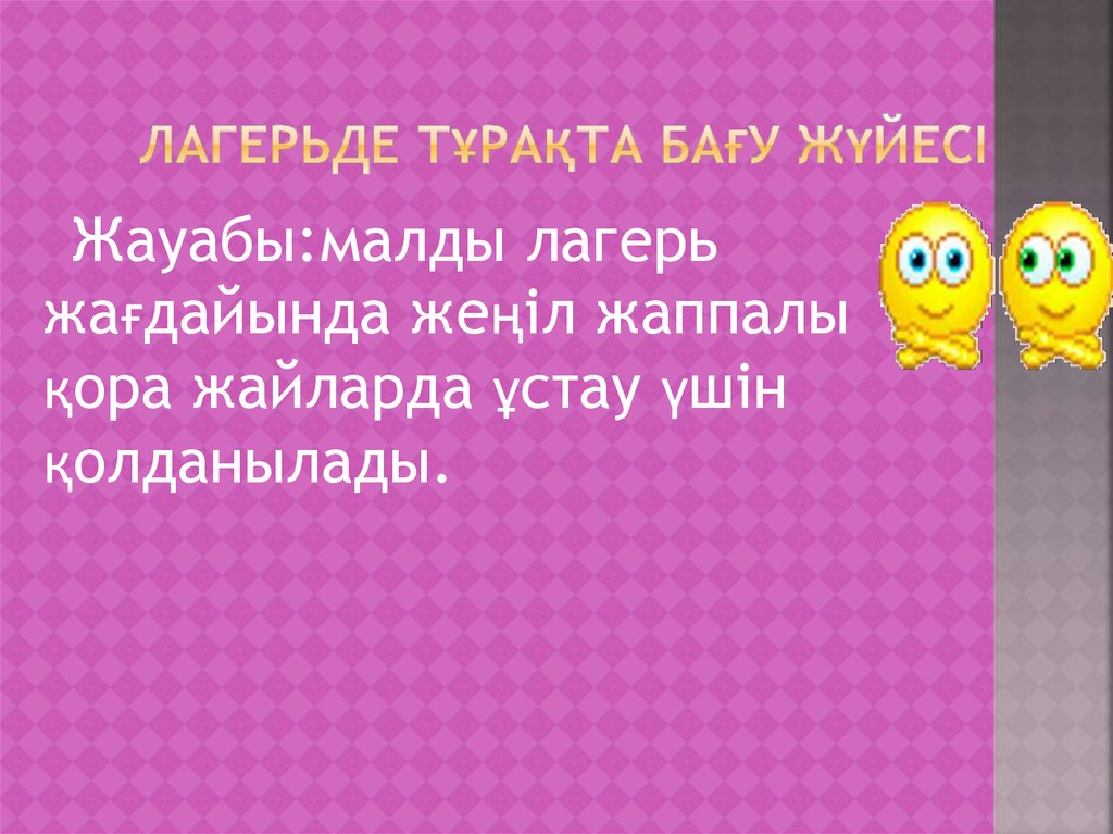 Лагерьде тұрақта бағу жүйесі