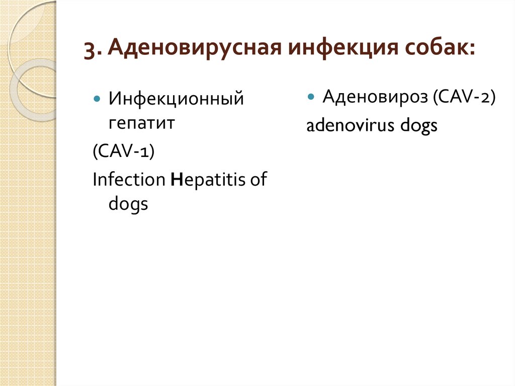 Аденовирусная инфекция у собак. Аденовирусный. Гепатит собак. Презентация.