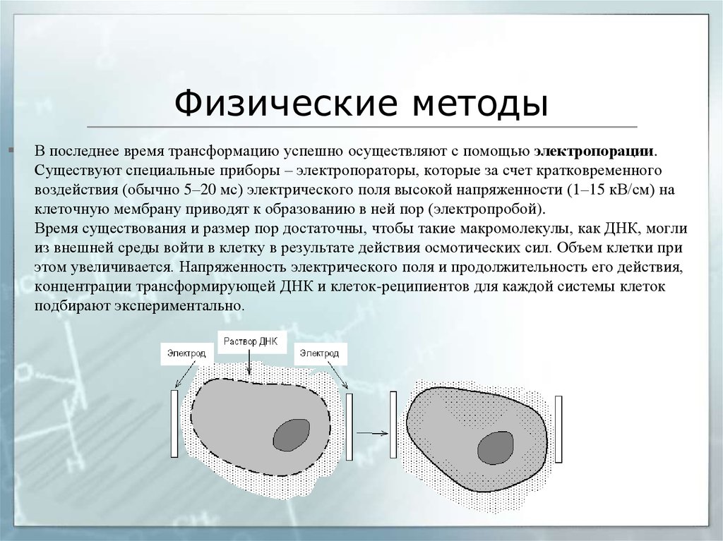 Физические методы. Компетентные клетки для электропорации. Презентация физический метод электропорация. Химически компетентные клетки. Протокол получения компетентных клеток.