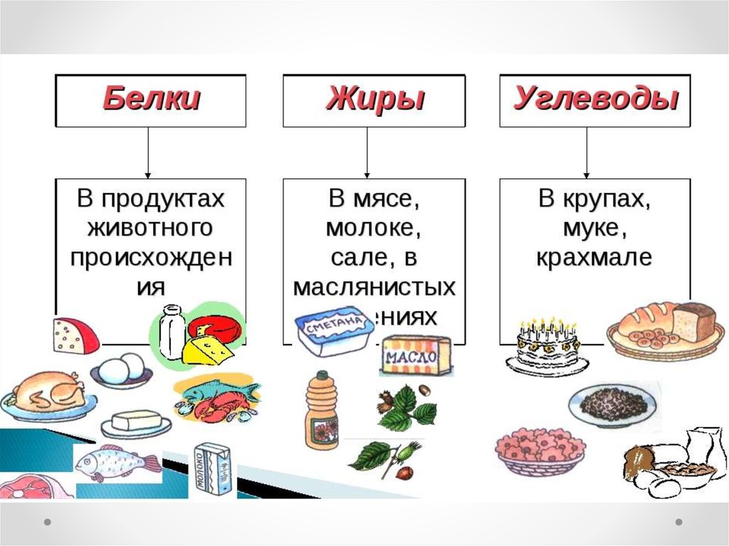 Проект анализ питания семьи