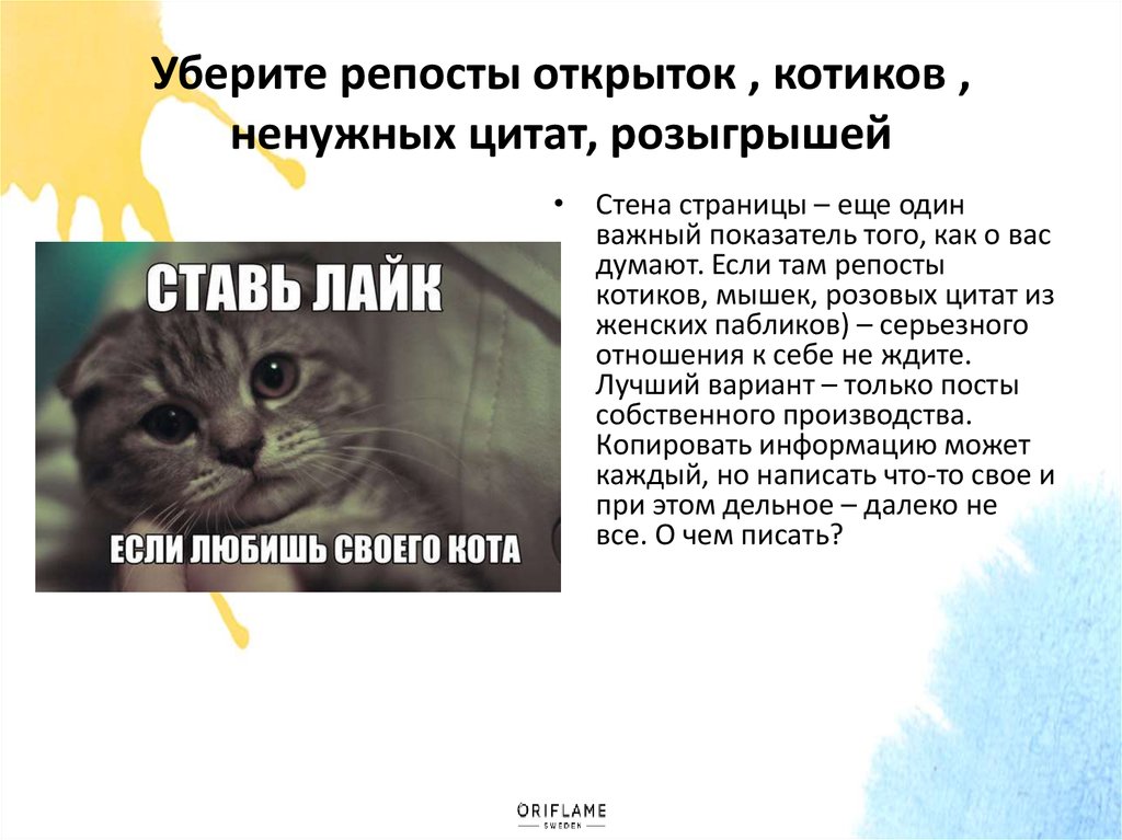 Убери кота. Убирать за котом. Две секунды на репост коты. Кот удаляет сообщения. Кот слова излишни.