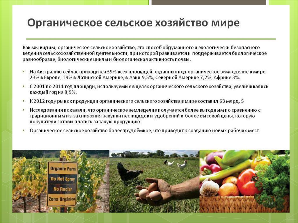 Экологическая оценка качества продукции растениеводства презентация