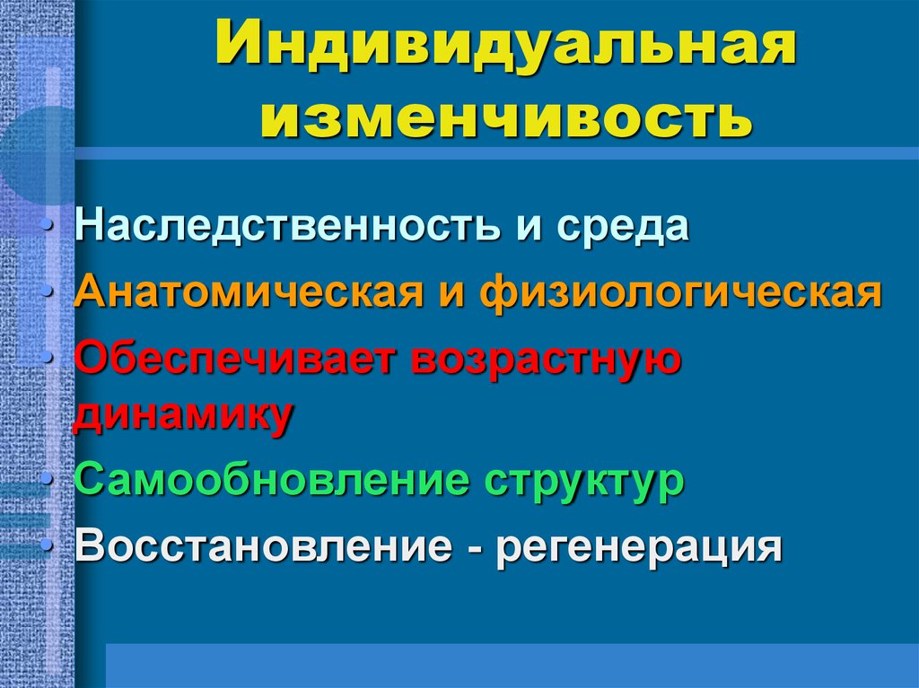 Индивидуальная изменчивость