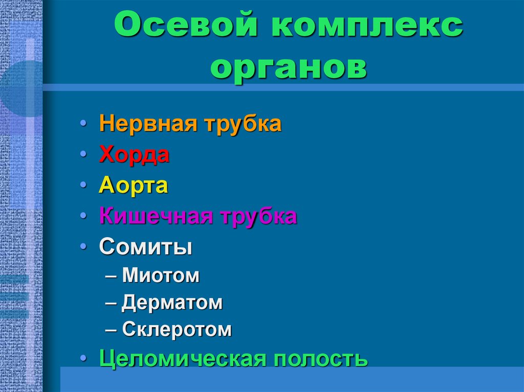 Комплекс органов