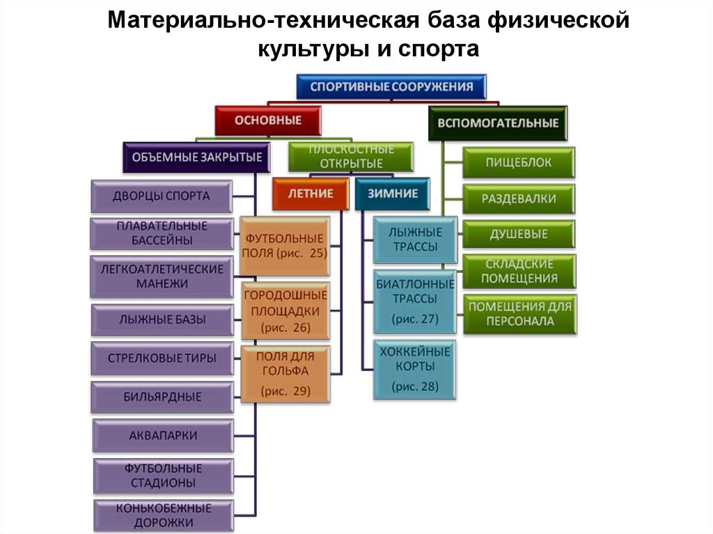 Изображения материально технической базы