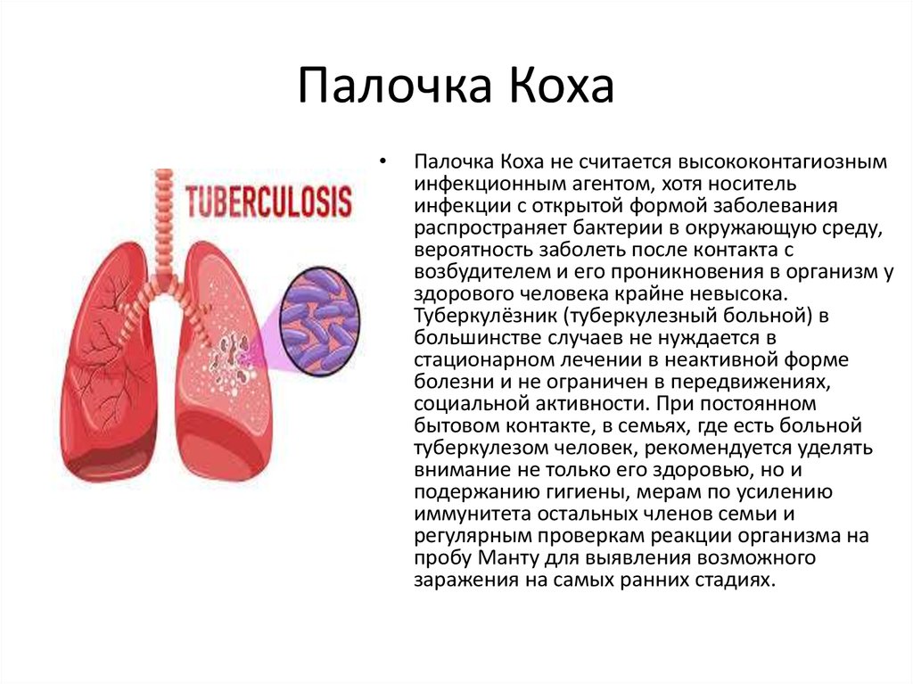 К каким инфекциям относится туберкулез. Формы заболевания туберкулеза. Туберкулез палочка Коха симптомы.