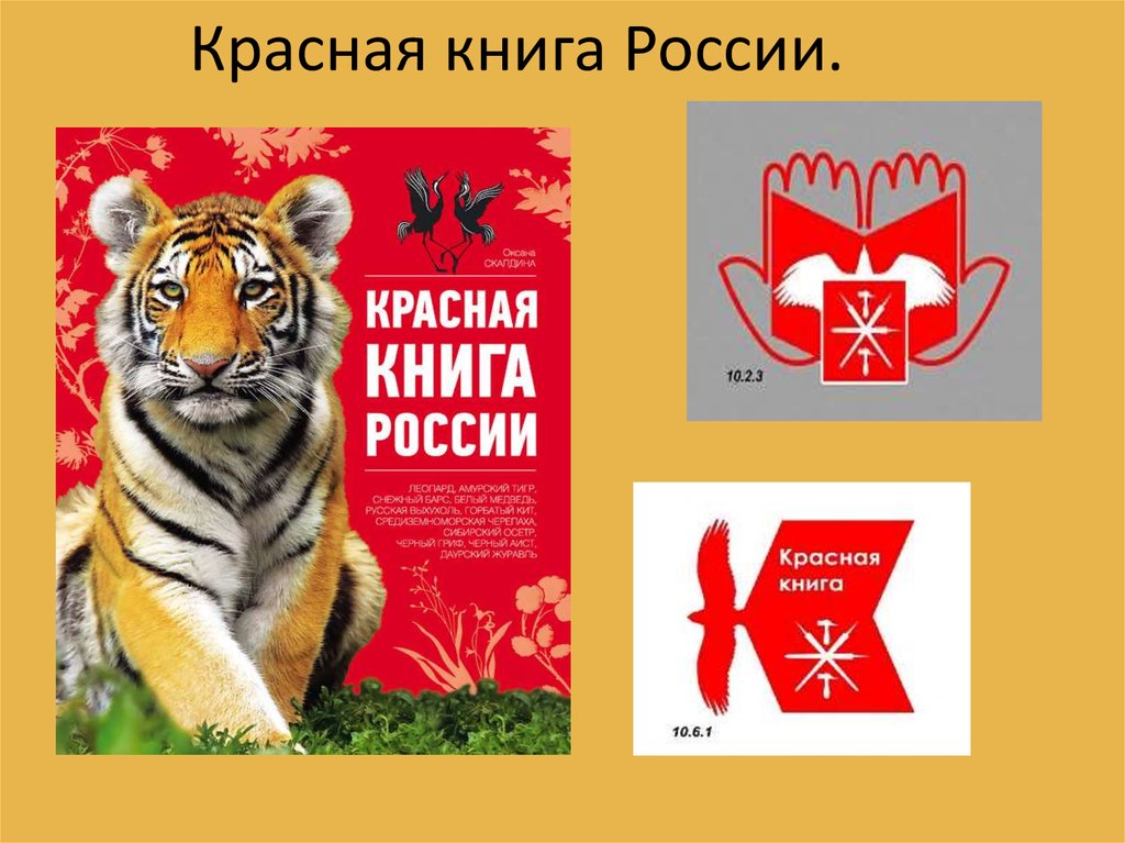 Российская красная книга