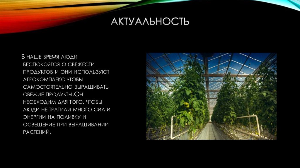 АКТУАЛЬНОСТЬ