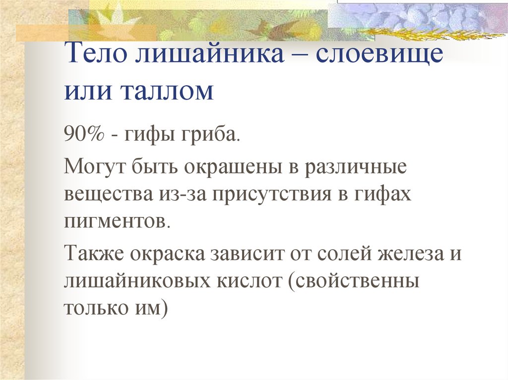 Тело представлено слоевищем низшие или высшее. От чего зависит окрас лишайника. От чего зависит окраска лишайников 5 класс биология. Слоевище или таллом это. Тело представлено слоевищем.