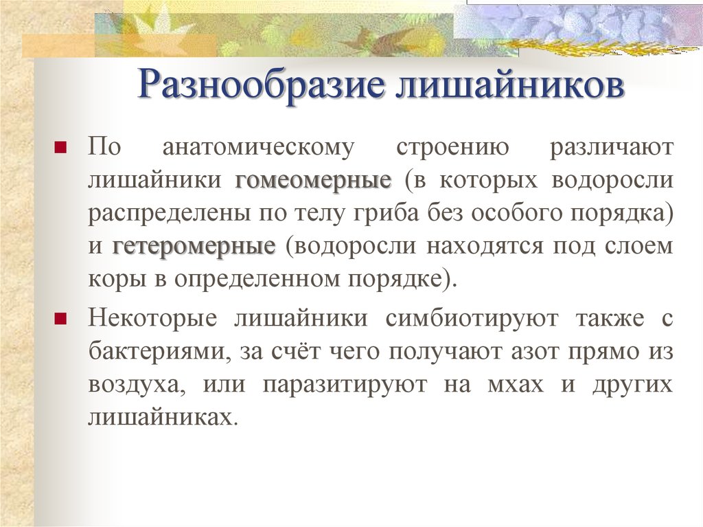 Многообразие лишайников. Гомеомерный Тип лишайников характерен. Гомеомерный Тип лишайников характеризуется. Что характерно для гомеомерных лишайников. Термин гетеромерный таблица.