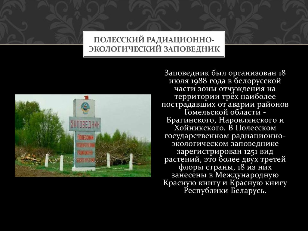 Презентация полесский заповедник