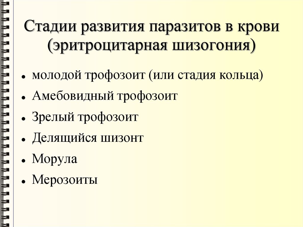 Основные стадии развития паразитов