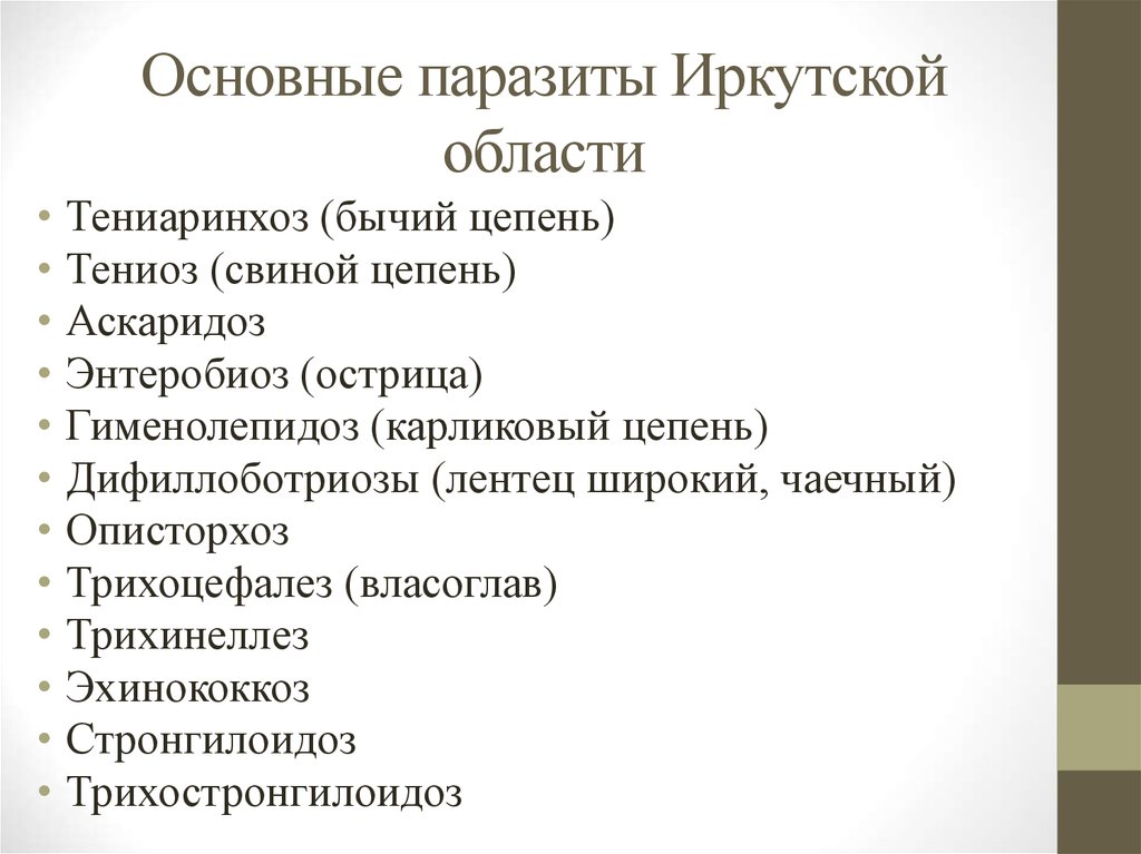 Основные паразиты Иркутской области