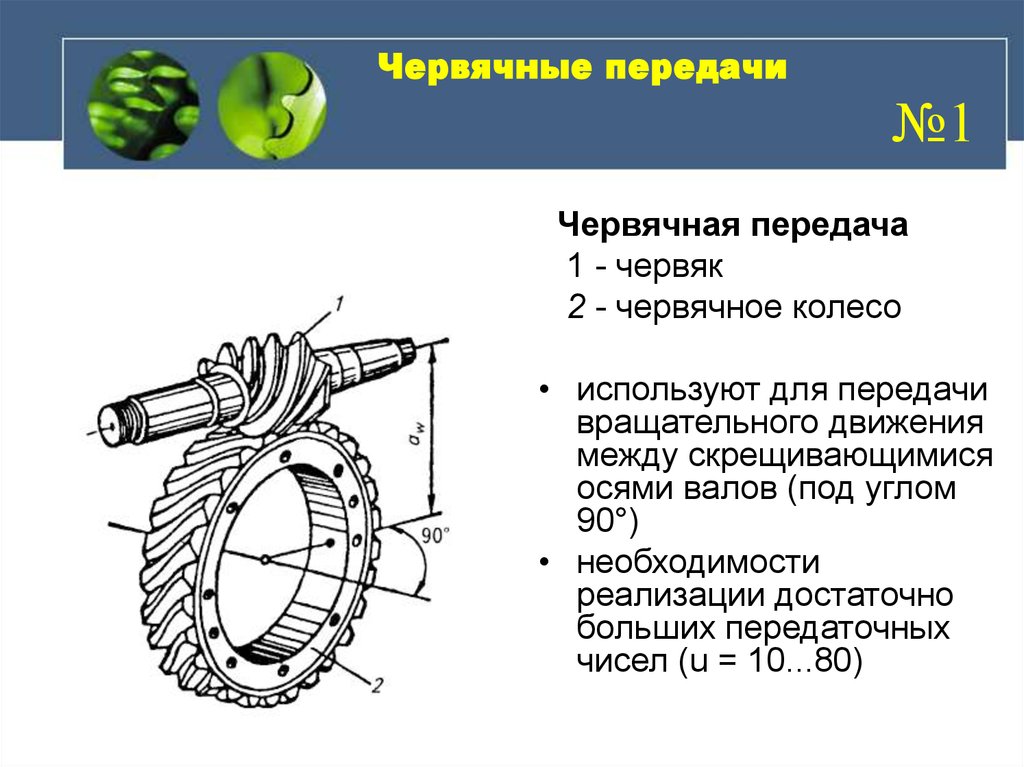 Червячные передачи техническая механика презентация