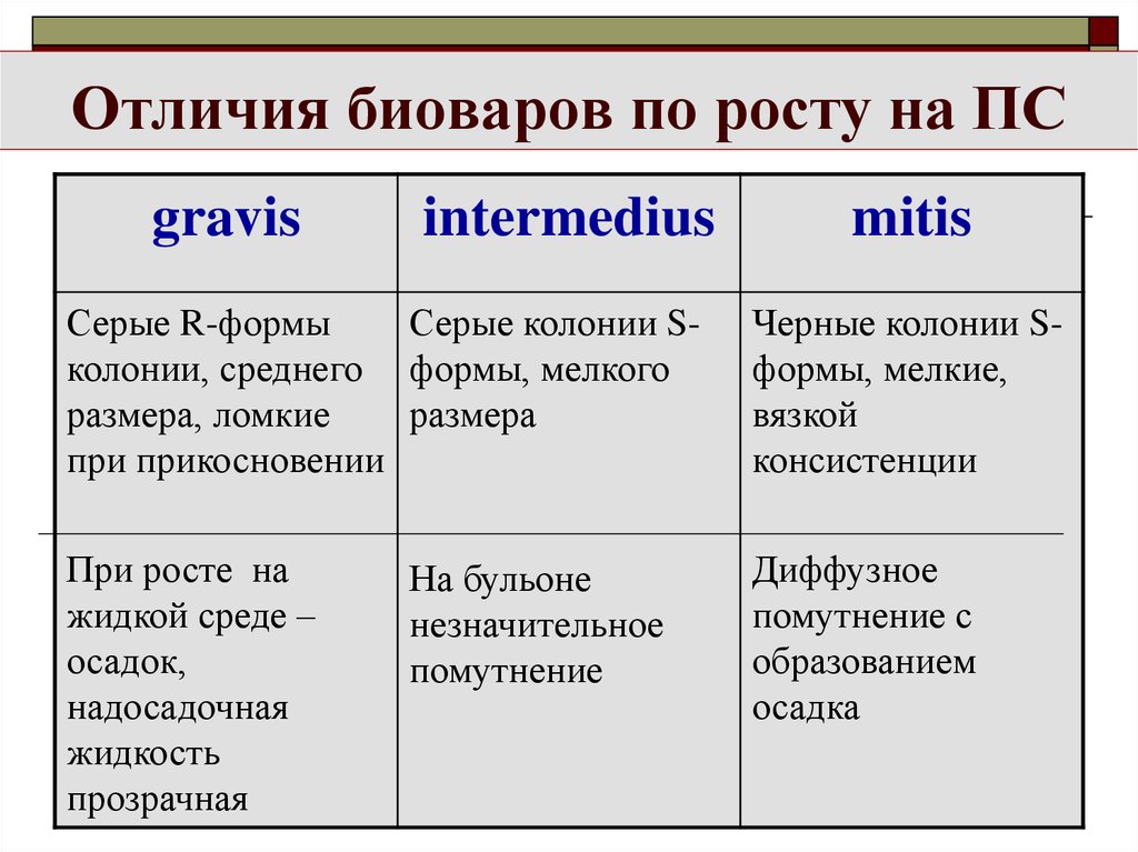 Разница основа. Таксономия микроорганизмов биовар. Гравис Митис Интермедиус. Отличия дифтерии Gravis. Биовар Gravis отличается от MITIS чем.