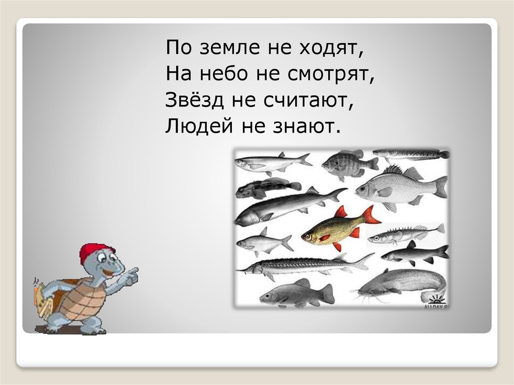 Кто такие рыбы 1 класс окружающий мир. Презентация кто такие рыбы 1 класс отвечать на вопросы. Кто такие рыбы и зачем они нам нужны. Задания у уроку что такое рыба 4 класс. Есть такие рыбы которые намеренно привлекают к себе внимание.