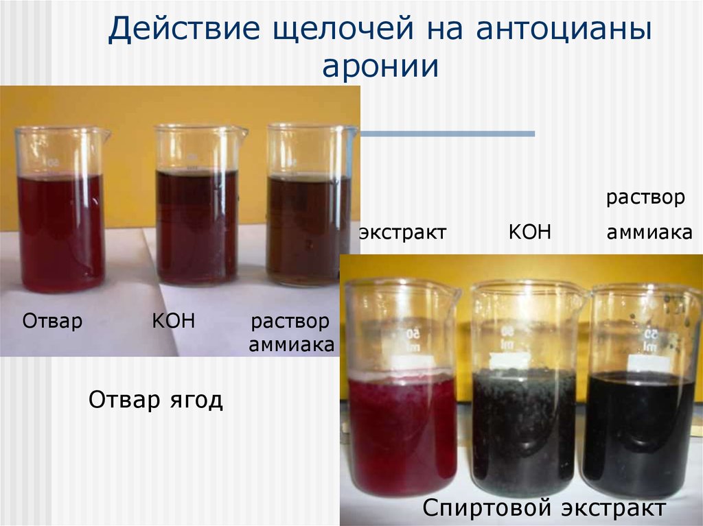 Действие раствора. Антоцианы и PH. Антоцианы в кислой и щелочной среде. Раствор антоцианов. Антоцианы в разных средах.