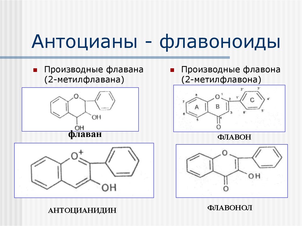 Синтез антоцианов. Флаван и Флавон. Флавоноиды антоцианы пигменты. Флавоноиды химическая формула. Флаван формула структурная.